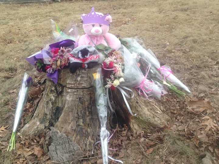 Items have been placed on a tree stump along Ridgebury Road in Ridgefield in memory of Emma Sandhu, who was killed Friday while walking along the road near her home. 