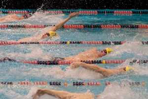 Westport Swimmers Help Wilton Wahoos Win State Title