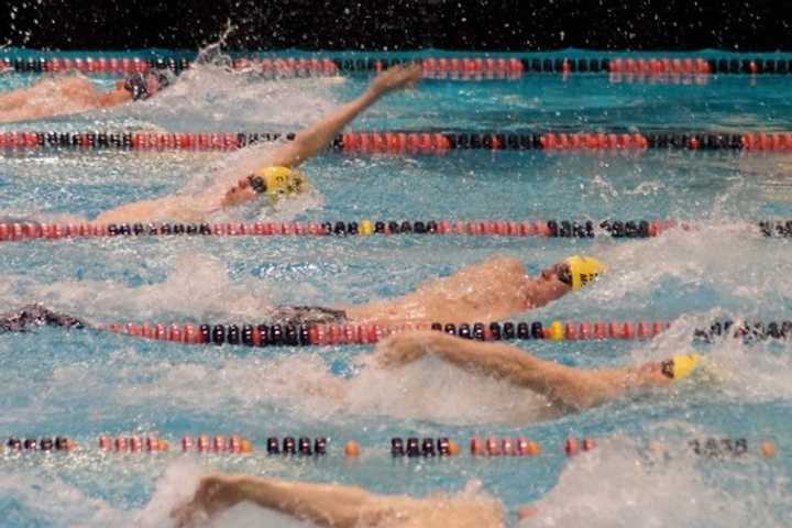 Westport Swimmers Help Wilton Wahoos Win State Title
