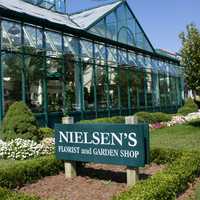 <p>The still-family-owned Nielsen&#x27;s Florist will celebrate its 70th anniversary in April.</p>