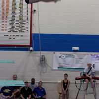 <p>Darien&#x27;s Timmy Luz won the boys 3-meter for the 14-15 division.</p>