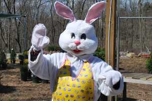 Easter Egg Hunts Abound In Dutchess As Holiday Nears