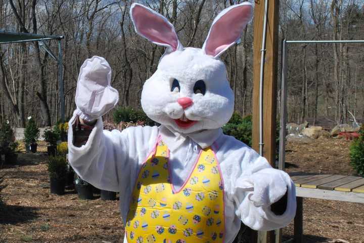 Easter Egg Hunts Abound In Dutchess As Holiday Nears