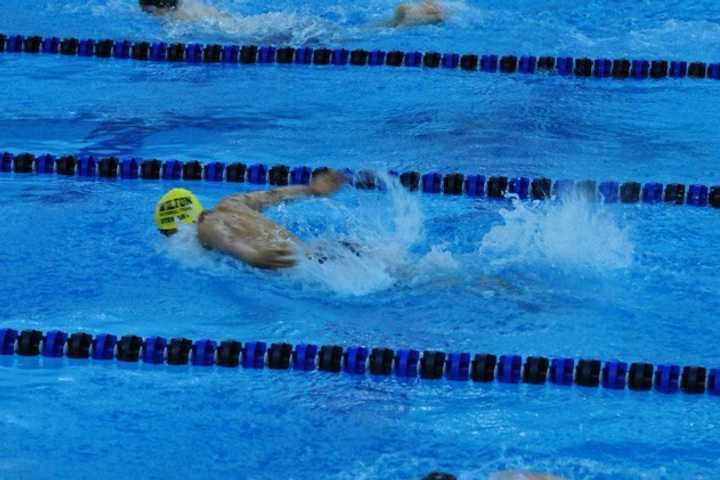 Westport Swimmers Help Wilton Y Wahoos Win State, Regional Meets