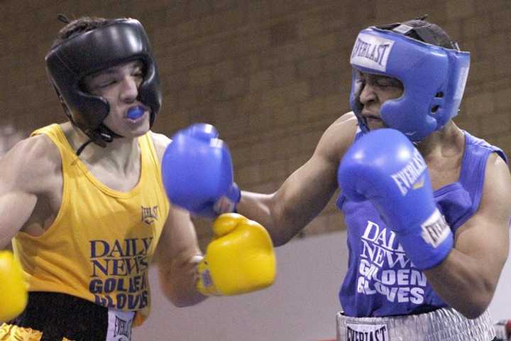 Six championship amateur boxers, including two from Westchester, are set to compete in the Golden Gloves match on Wednesday, April 2. 