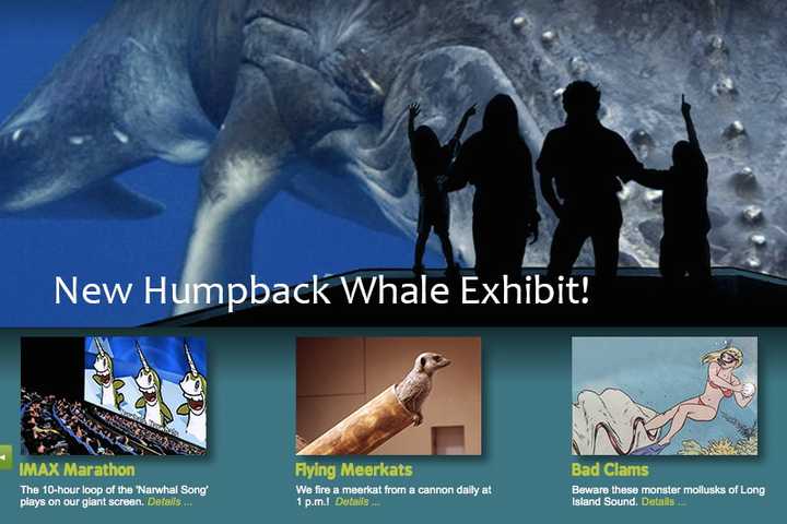 April Fools! The Maritime Aquarium is featuring a fake-out homepage on Tuesday.