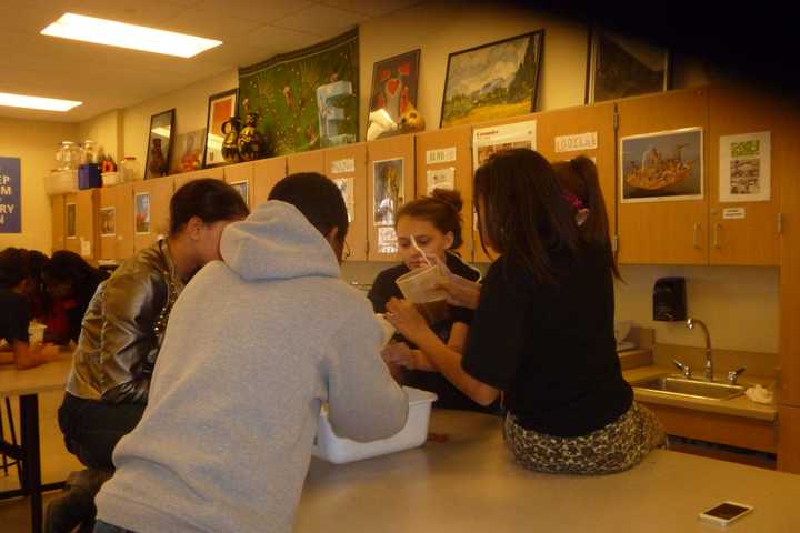 Peekskill Environmental Club Explores Hudson River