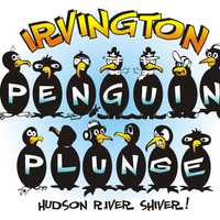 <p>Join members of the Westchester community as they plunge into the Hudson River to raise money for village programs. </p>