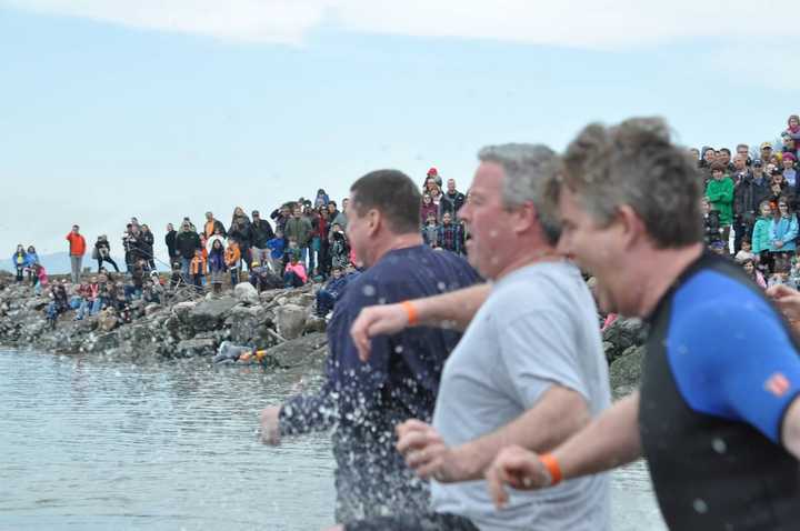 People plunging into the cold Hudson River water last year. 