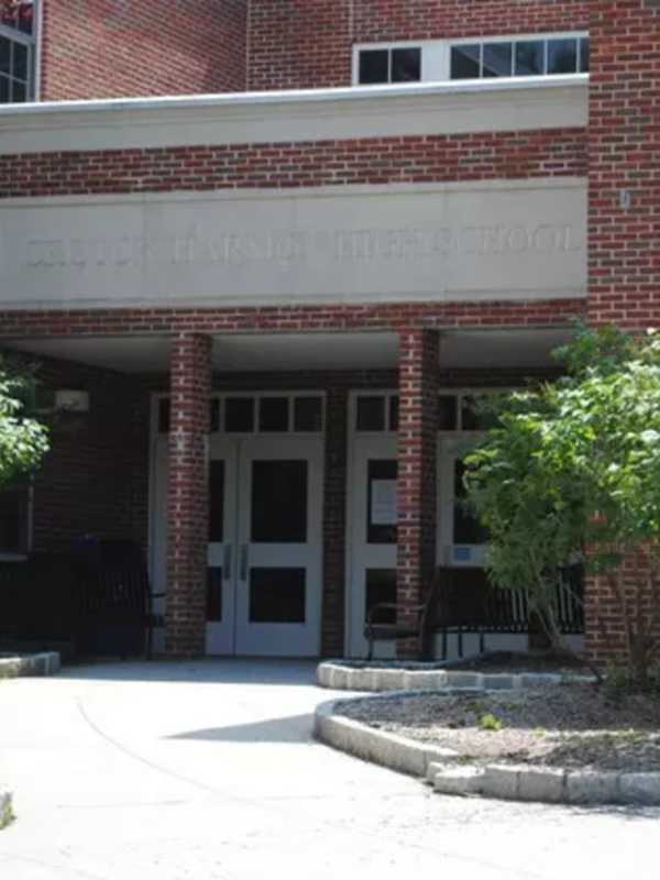 Croton-Harmon School Board Panel Discusses Concussion Management