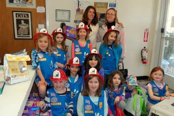 Wilton Daisy Troop Helps Animals in Distress After Cat Rescue