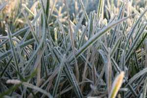Chilly Temperatures Bring Frost Advisory To Ridgefield