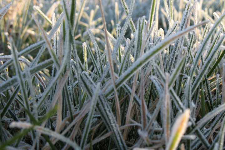 Chilly Temperatures Bring Frost Advisory To Ridgefield