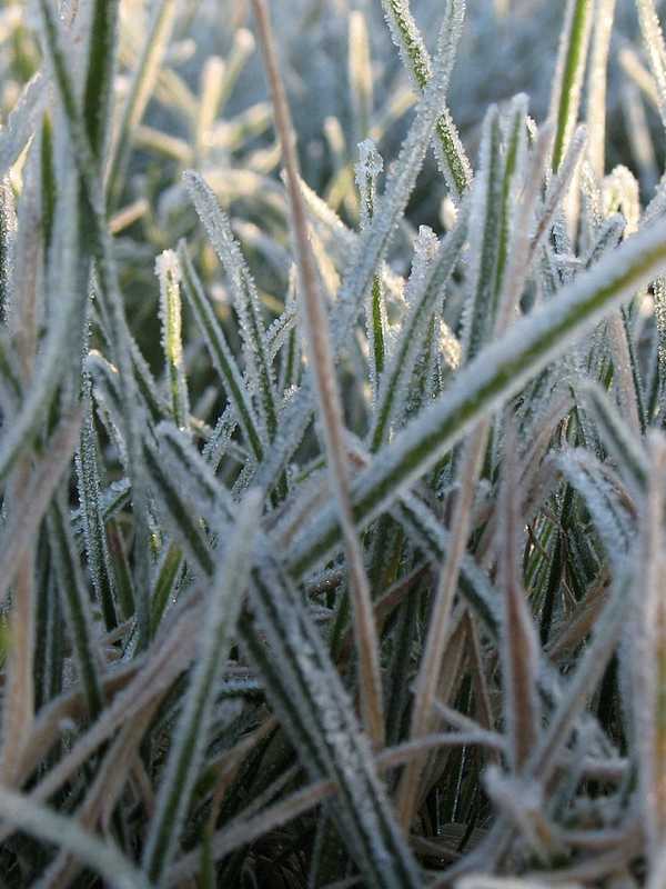Frost Advisory Issued Ahead Of Warm Week In Fairfield