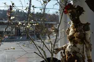 Chappaqua Flower Shop Owner Thankful for Support
