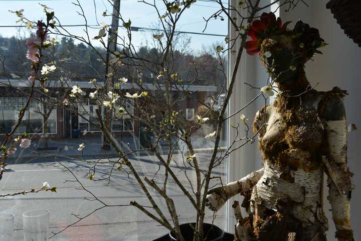 Chappaqua Flower Shop Owner Thankful for Support
