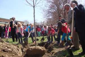 Norwalk Marks Arbor Day With Tree Planting At Wolfpit
