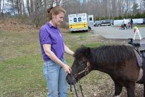 Hundreds Attend Pound Ridge Go Green Day