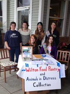Wilton Girl Scout Troop Collects For Pantry, Animals In Distress