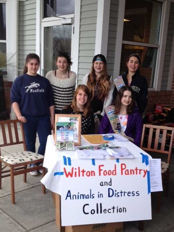 Wilton Girl Scout Troop Collects For Pantry, Animals In Distress