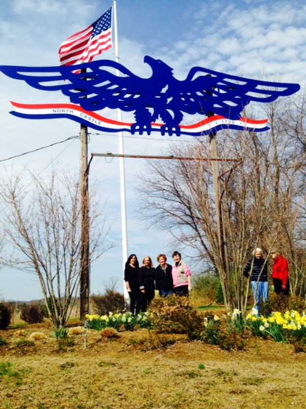 Armonk Eagle Flies High Again 
