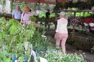 Ossining's Teatown Lake Reservation Plans Plant Sale