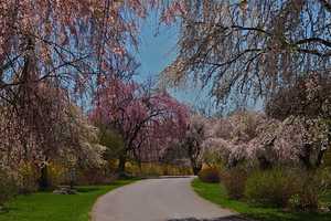Greenburgh's Hart’s Brook Park And Preserve Plans Nature Walk 