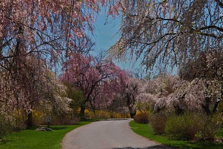 Greenburgh's Hart’s Brook Park And Preserve Plans Nature Walk 
