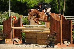 Spring Horse Shows Come To Old Salem Farm On Sunday