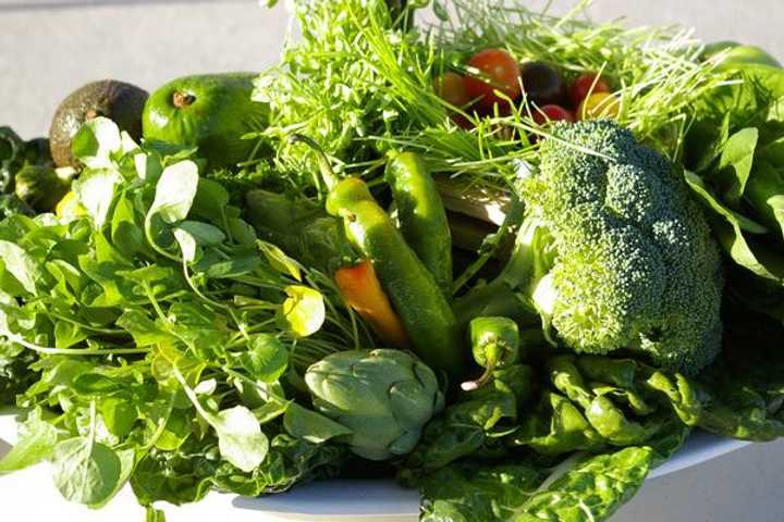 The Rye Nature Center will be hosting an event to teach adults how to eat and live green. 