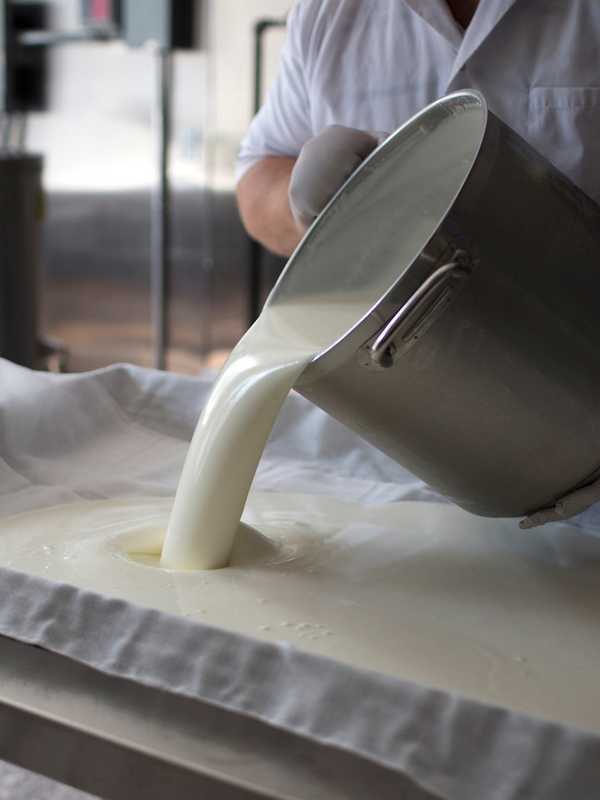 Winter Farmers Market To Open In Mamaroneck On Jan. 2