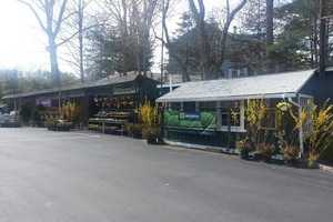 Geigers Celebrates Grand Opening As It Grows In New Canaan