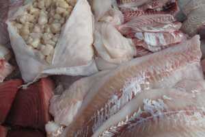 Croton Farmers Market Opens Sunday