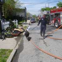 <p>A police dog was also on scene at the fire on William Street.</p>