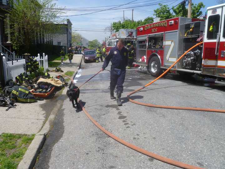 A police dog was also on scene at the fire on William Street.