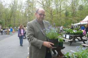 Teatown Plant Sale Delights Visitors