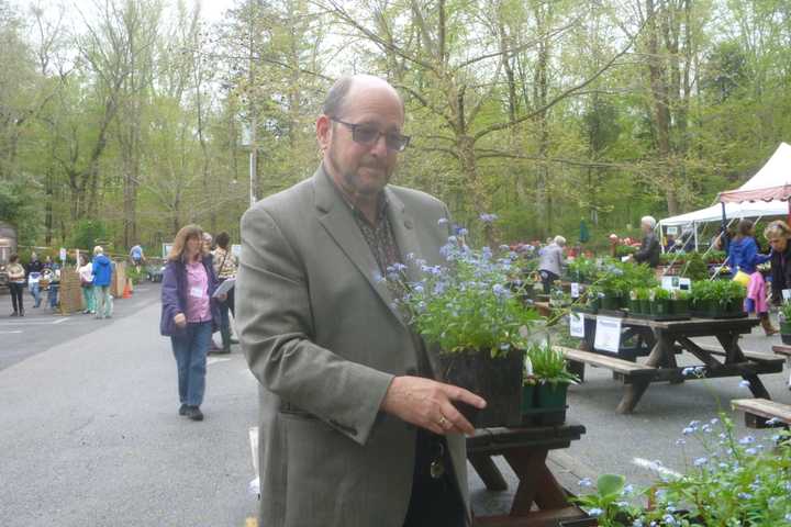 Teatown Plant Sale Delights Visitors
