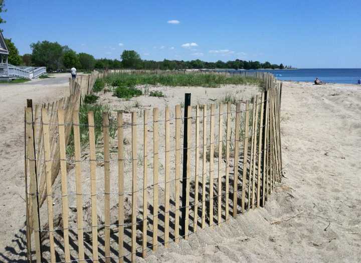 Sherwood Island State Park in Westport.