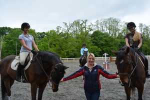 Westchester Farm Owner Assists With Runaway Horse On I-684
