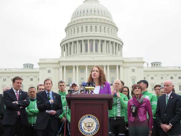 U.S. Rep. Elizabeth Esty scored a legislative victory as her amendment passed to strengthen background checks on gun buyers. 