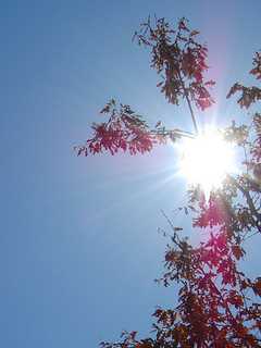 What's That In The Sky? Sunshine Makes A Cameo In North Passaic