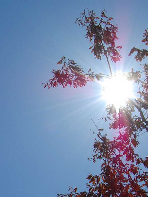 What's That In The Sky? Sunshine Makes A Cameo In North Passaic
