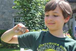 White Plains' Hospice & Palliative Care Hosts Butterfly Release