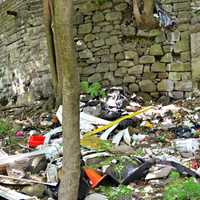 <p>A look at the beginning of the day at Old Croton Aqueduct Trail. </p>