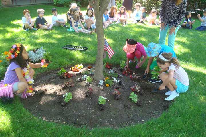 Students from the Chapel School and volunteers from Goldman Sachs Community Team Works planted flowers and shrubs around the Chapel School. 