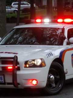 Bat Flying In Home, Contempt Arrest Among Mount Kisco Police Reports