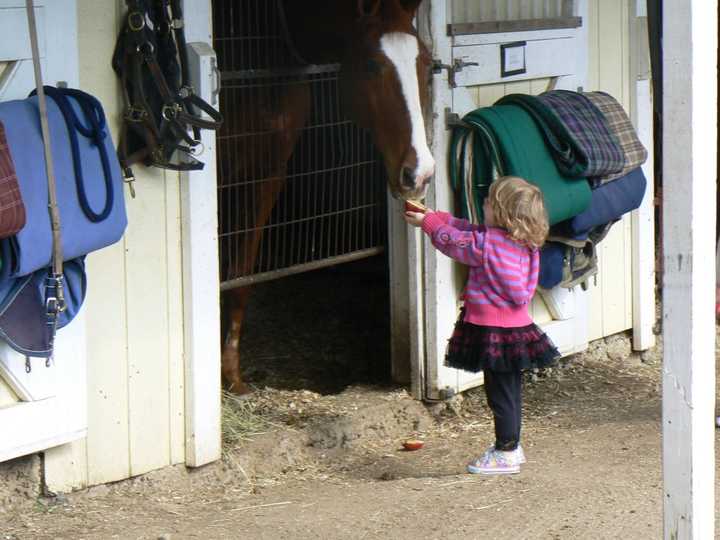 Stratford Stables was the scene of the plane crash that took the life of Dr. Richard Rockefeller. 