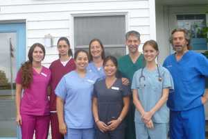 Yorktown Animal Hospital Honored As One Of Westchester's Best