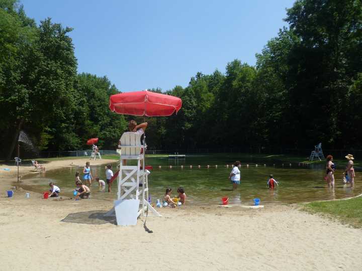 The pond at Bisceglie-Scribner Park in Weston. 