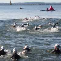 <p>Swim Across America swimmers splash along the course.</p>